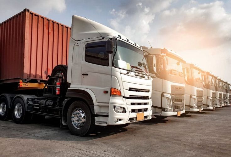Domestic Road Transportation 31 46dbd6f4 4454 4847 9135 5a02903bf3d5
